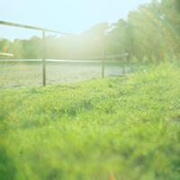 破碎的永远头像