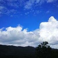 石缘人缘随缘_头像