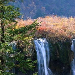 高山流水难觅知音啊头像