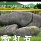 25132小志头像