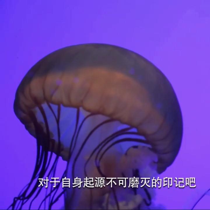 娱乐美食在线头像