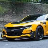 不绿不川崎头像