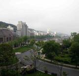 诚实可靠小郎君zyf头像