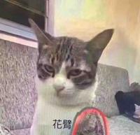 瓢城一客行头像