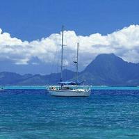 DC格物致知头像