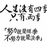 鸵鸟523头像