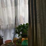 用户6777474947901头像