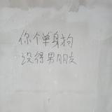 Miss丿皮皮虾头像