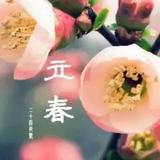 莲台花开头像