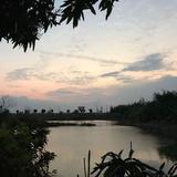改色小chen头像
