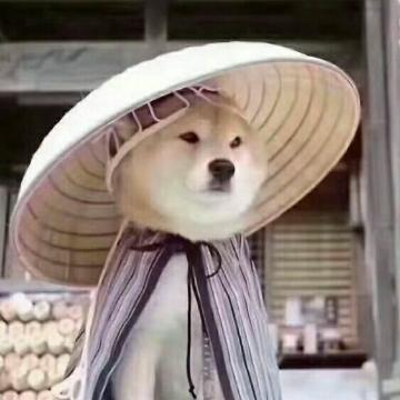 1169好运比勒尔头像