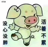 熊哥98846731头像