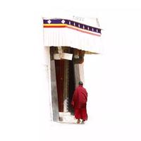 用户109177683450头像