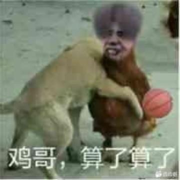 小磊qqq头像