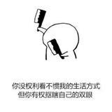 枫叶小凡头像