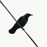 用户5429470090头像