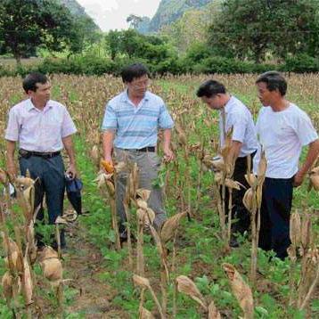 农民很善良头像