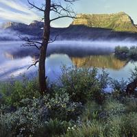 天天潮車讯头像