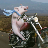 ご錵╬訫ご头像