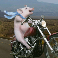 ご錵╬訫ご头像