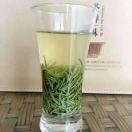信阳毛尖（浉河）头像