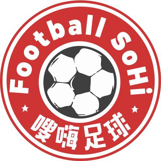 嗖嗨足球头像