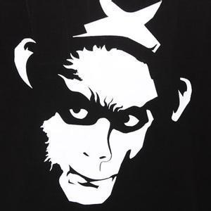 秋叶stey头像