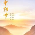 cj何同学秦同学头像