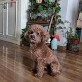 用户4340489870648446头像