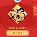 哎卡灰兔儿头像