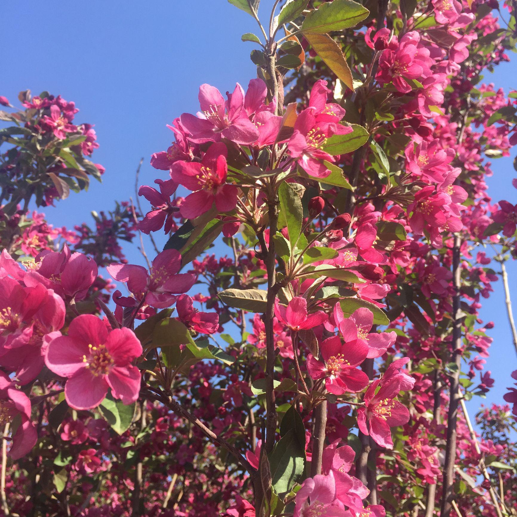 生活的小节奏走起来头像