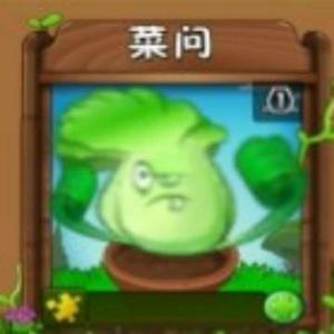 pvz菜问大师头像