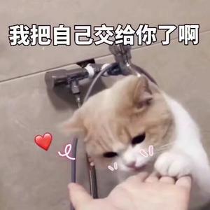 HM完成头像