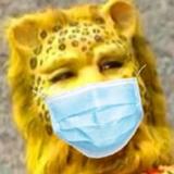 二岩8971头像