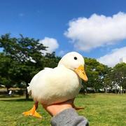 努力进化中的个人资料头像