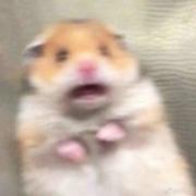 WineL的个人资料头像