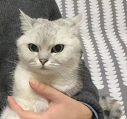 皮皮酱子的个人资料头像