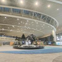 杨先生看车时间头像