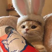 Future303的个人资料头像