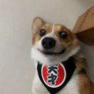 dddachui的个人资料头像