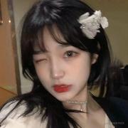 昨夜雨的个人资料头像