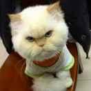 杨志朋的个人资料头像