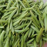 畲家明茶435头像