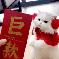活在梦里的YY头像