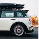 金色闪光鲤鱼王 · MINI CLUBMAN车主·车龄2年头像