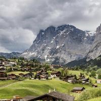 咱们的牛百顺头像