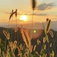 成熟微风X5r头像