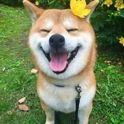 周JM的个人资料头像