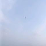 用户882844379126头像