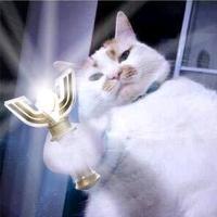 整点Beer头像